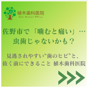 佐野市の植木歯科医院|「噛むと痛い…虫歯じゃないかも?」見逃されやすい歯のヒビ(クラック)と抜く前にできることを伝えるアイキャッチ画像
